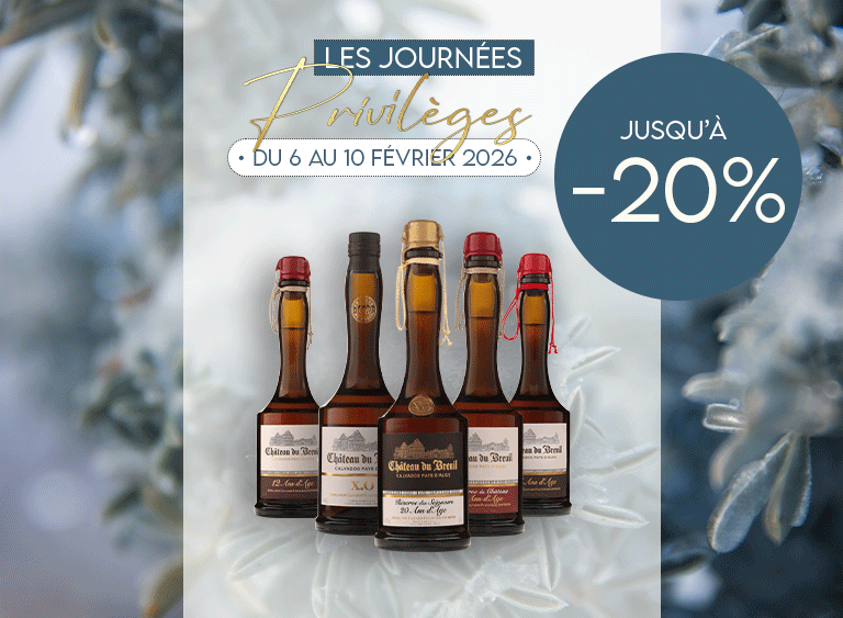 Promotions Journées privilèges au Château du Breuil - Normandie