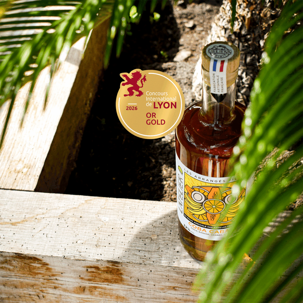 Delienn Spirit - Caba Cabaia