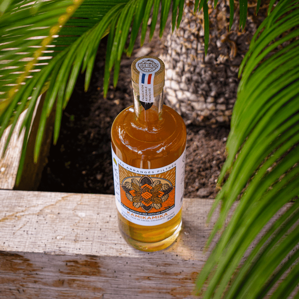 Delienn Spirit - Kamikamika