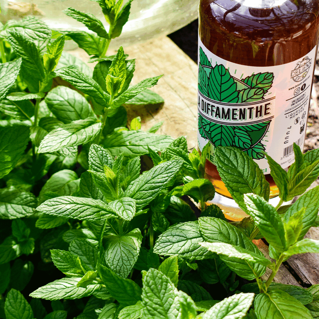 Delienn Spirit - la diffamenthe