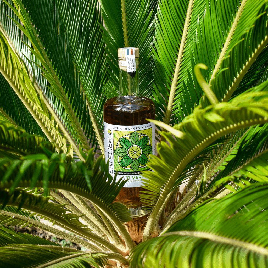 Delienn Spirit - Ti Vert